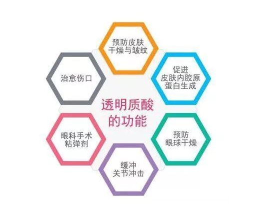 透明質(zhì)酸的功能